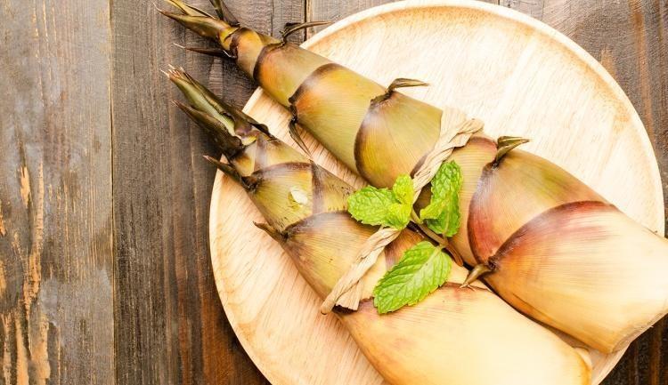 16 Receitas de Broto de Bambu Junto de Inúmeras Possibilidades Para Preparar Em Casa